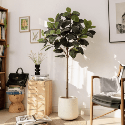 Tall Plant